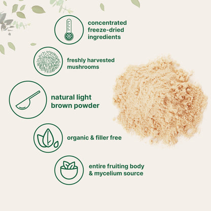 Micro Ingredients Organic Lions Mane Mushroom Supplement Powder
