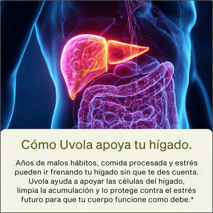 Apoyo Hepático con Cardo Mariano