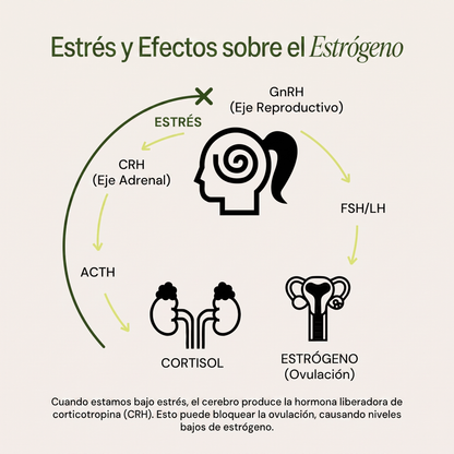 APOYO HORMONAL Y ANÍMICO